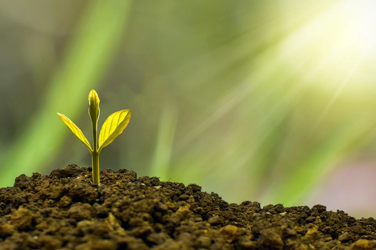 Grow business