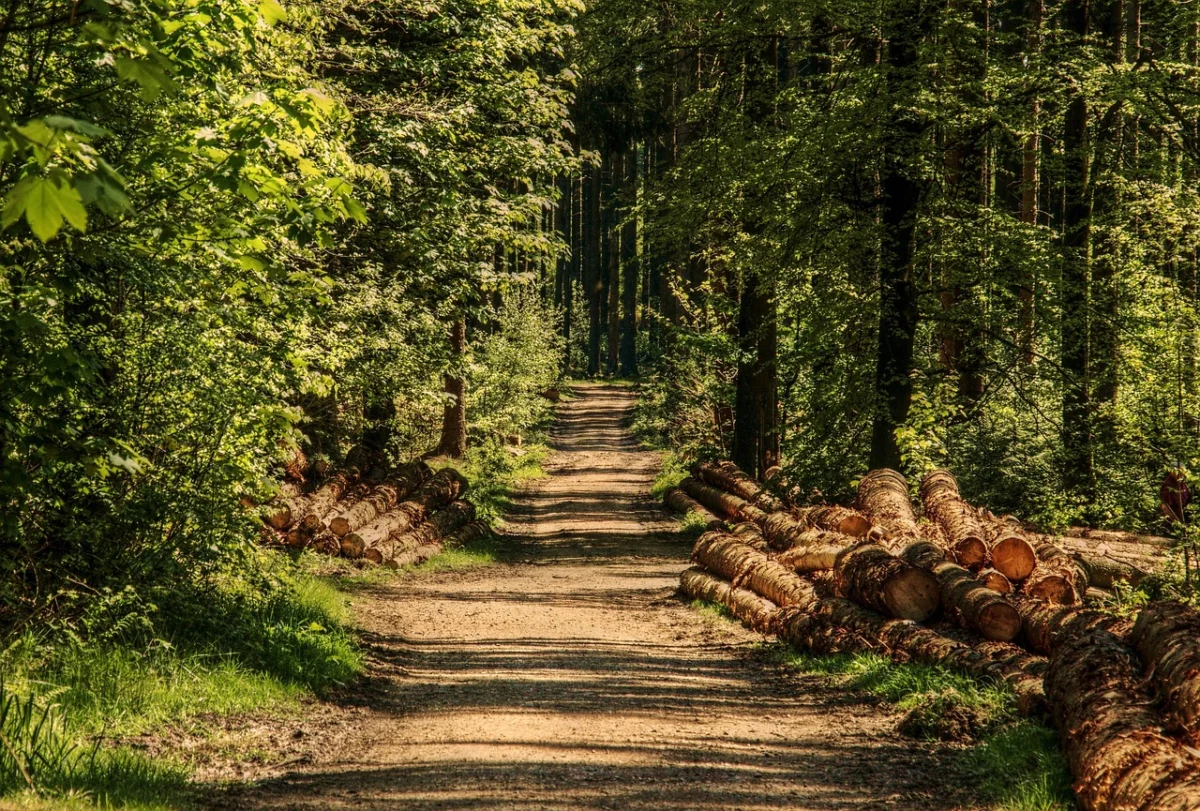Growth through partnerships strategic imperative