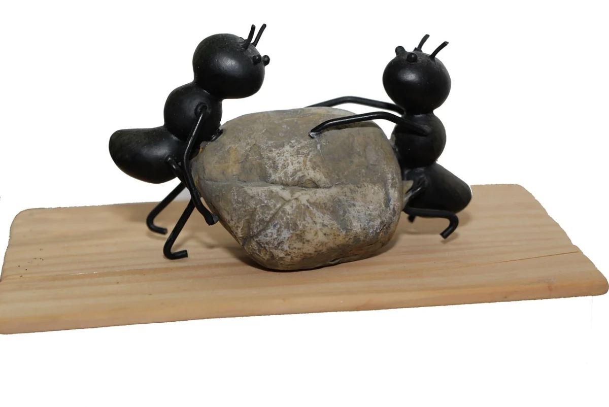 Build strong portfolio successful exit